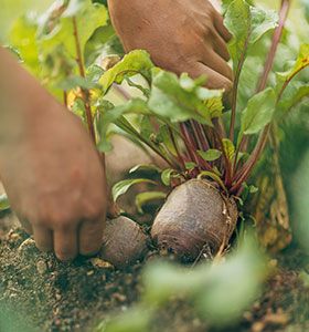 Le savoir de la réception au Château Canon